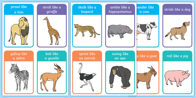 Animal Movement Cards (teacher made)