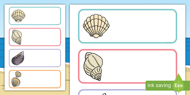 Editable Shell Name Labels (teacher Made) - Twinkl