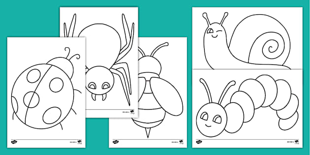 Hojas de colorear: Mis primeros insectos
