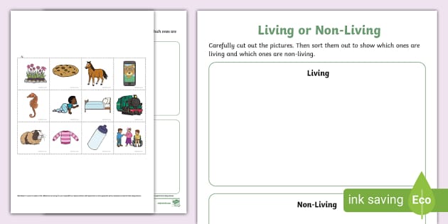 Living or Non Living Sorting Activity Sheet teacher made 