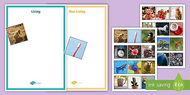 Living And Nonliving Things Experiments Primary Resources