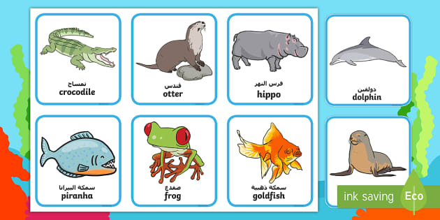 Salt and Fresh Water Creatures Sorting Cards (Under the Sea) English/German