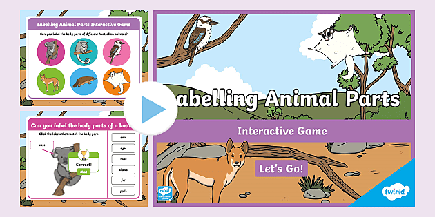 Labelling Animal Parts Interactive Game (teacher made)