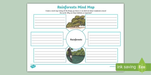 Rainforests Mind Map (teacher made)