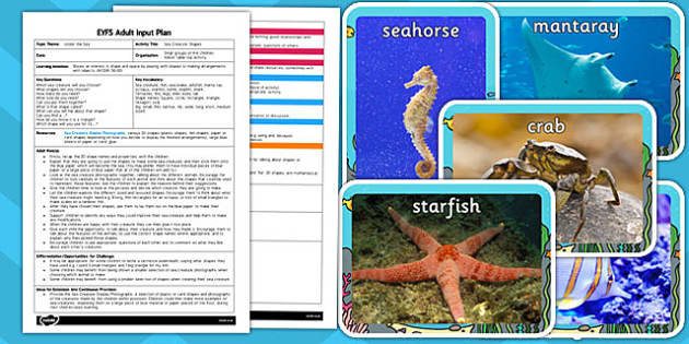 Sea Creature Shapes EYFS Adult Input Plan and Resource Pack - seaside ...
