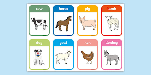 Language Skills: Animal Snap (teacher made) - Twinkl