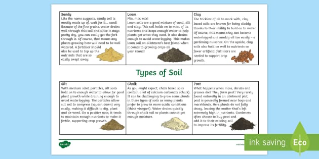 Types of Soil Fact Sheet (teacher made) - Twinkl