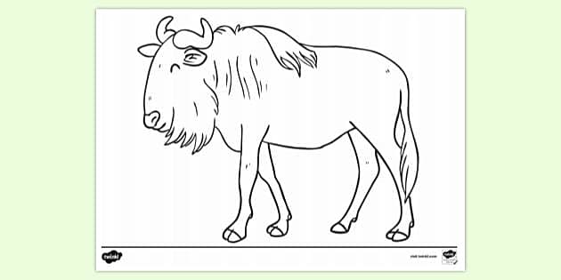 FREE! - Wildebeest Colouring Sheet | Colouring Sheets