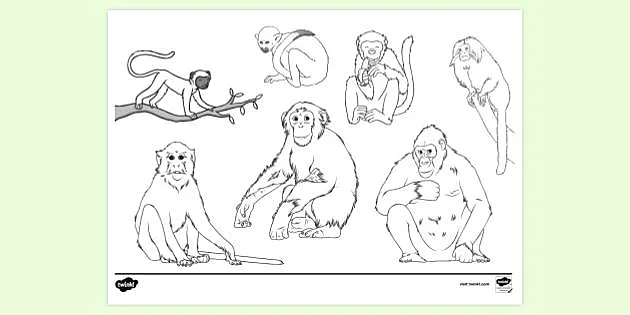 monkey pages for coloring