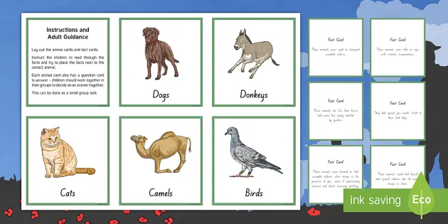 Animals in the War Lesson Pack KS1 | Animals in WW1 - Twinkl Animals in the War Lesson Pack KS1 | Animals in WW1 - Twinkl