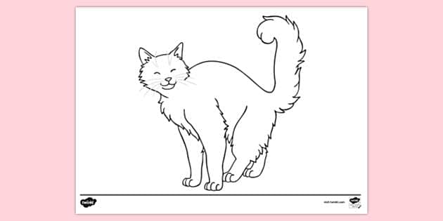 Free Cat Colouring Pages Pdf