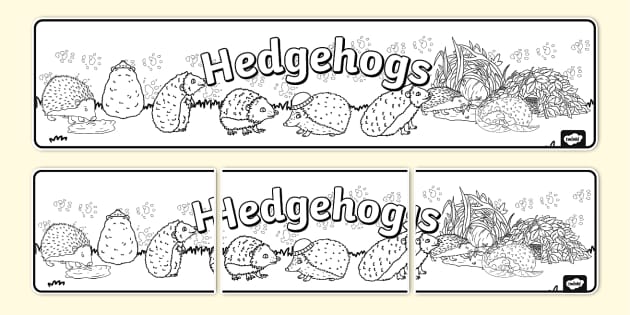 Hedgehogs Colouring Display Banner (teacher made) - Twinkl