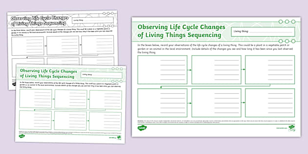 Observing Life Cycle Changes of Living Things Sequencing Mind Map