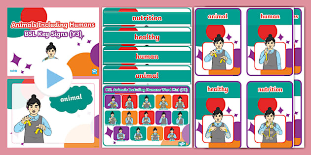 BSL Animals Including Humans Sign Support Pack (Y3) - Twinkl