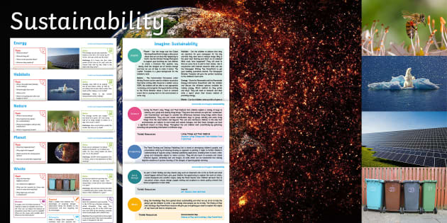 sustainability homework ks2