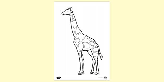 FREE! - Animal Giraffe Colouring | Colouring Sheets - Twinkl