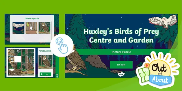 Huxley's Bird of Prey  Experience West Sussex