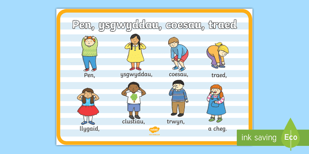 Head Shoulders Knees And Toes In Welsh Learning Resources