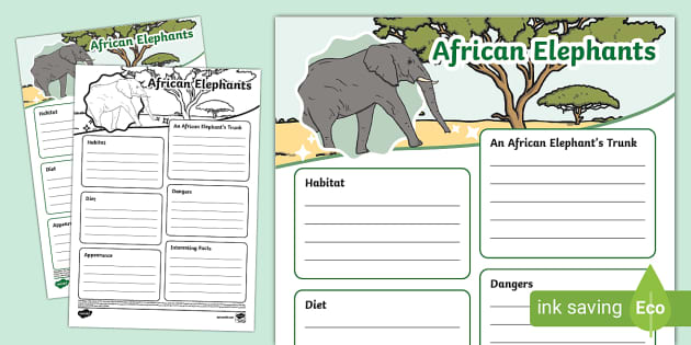 African Elephants Fact File Template (teacher made) - Twinkl