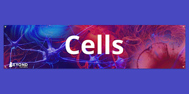 Cells Display Banner | Display Resources | Beyond - Twinkl