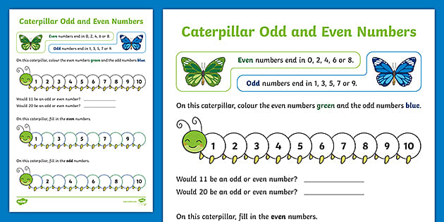 Caterpillars Odd And Even Numbers Worksheet