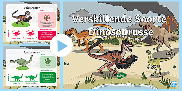 Verskillende Soorte Dinosourusse PowerPoint (teacher made)