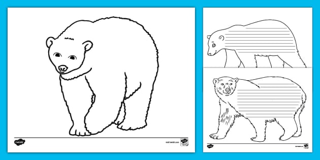 Cute Easy Draw Polar Bear Drawings Transparent PNG - 444x600 - Free  Download on NicePNG