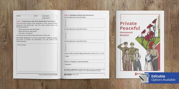 private peaceful book review ks3