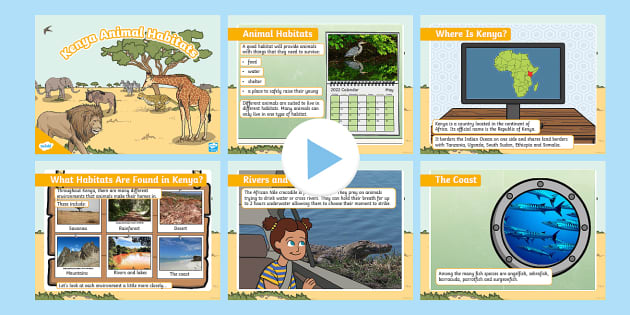 Kenya Animal Habitats PowerPoint - KS1 (teacher made) Kenya Animal Habitats PowerPoint - KS1 (teacher made)