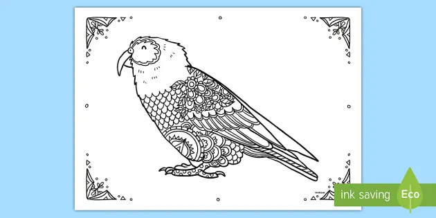 Download Kea Mindfulness Colouring Page Teacher Made