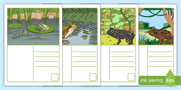 FREE! - Frog Postcards (teacher made) - Twinkl