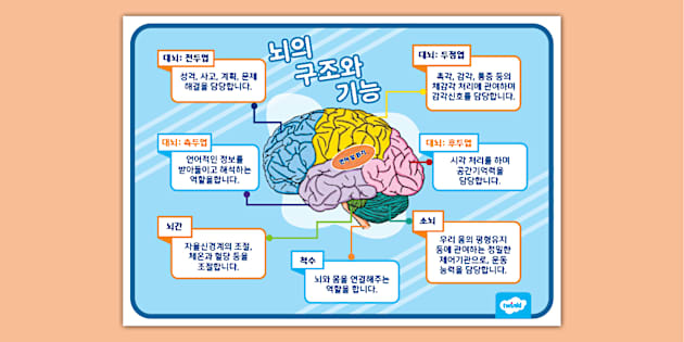 텍스트 구조 신호어