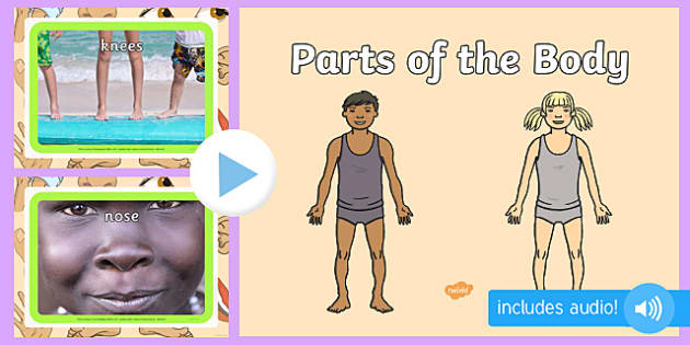 parts of the body powerpoint presentation for kindergarten