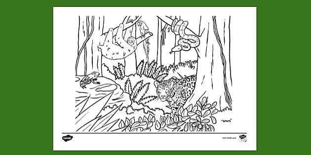 FREE! - Rainforest Animals Crying Colouring | Colouring Sheet