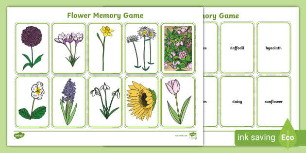 Flower Memory Game (teacher made) - Twinkl