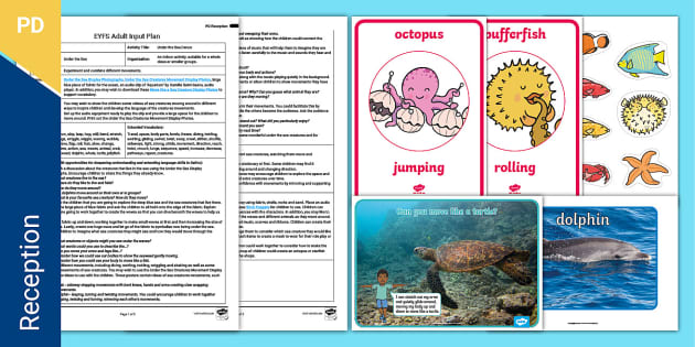 EYFS Under the Sea Dance Adult Input Plan and Resource Pack
