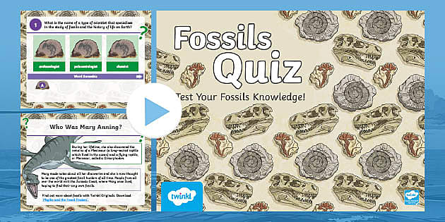 Test Your Fossils Knowledge KS2 Quiz PowerPoint | Twinkl