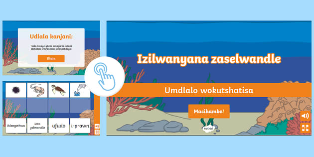 Marine Animals Matching Isixhosa (teacher Made) - Twinkl