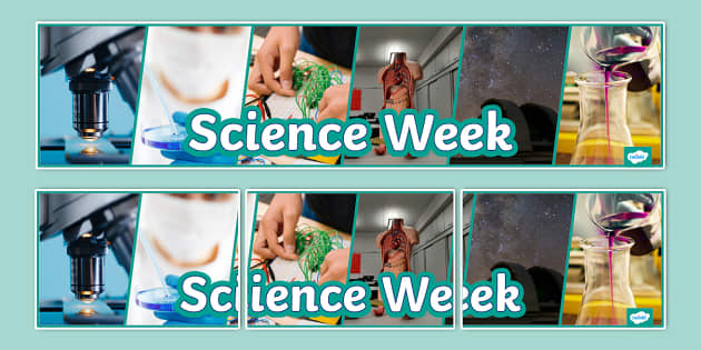 Science Week Photo Display Banner (Hecho por educadores)