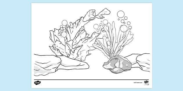 seaweed coloring pages