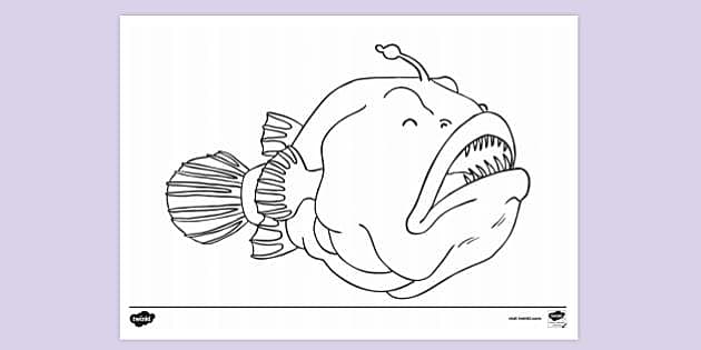 Angler fish Cartoon fish Basic drawing