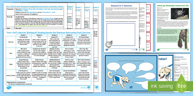 UKS2 Reading Catch-Up Intervention Pack: Rex Retriever