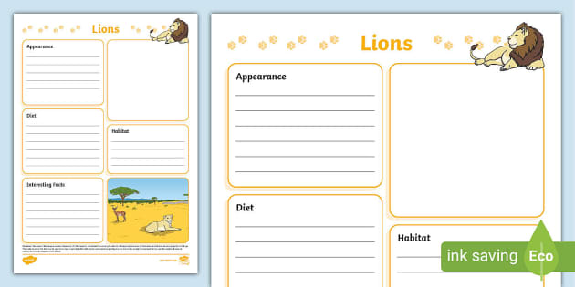 Lions Fact File Template,Lion Facts (teacher made) - Twinkl