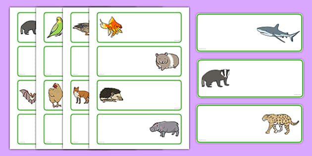 FREE! - Editable Drawer Name Labels (Animals) - Animals with Labels