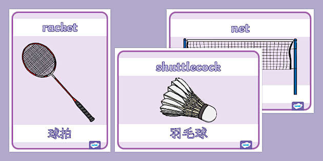 Badminton Display Posters | 中英雙語 (teacher made)