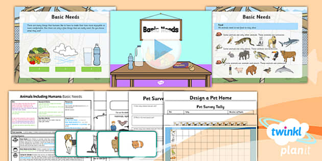 basic needs of animals year 2 science animals twinkl