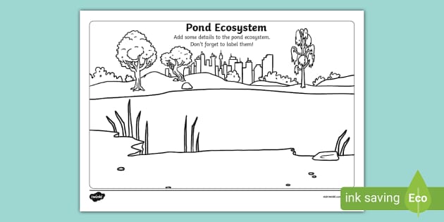 How to Draw a Pond - Really Easy Drawing Tutorial | Pond drawing, Easy  drawings, Drawings