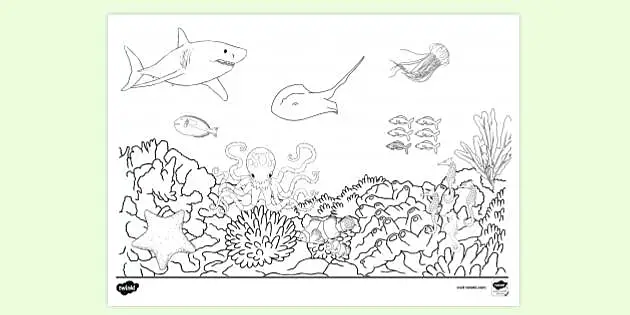 ocean habitat coloring pages