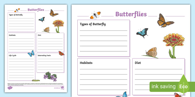 Butterflies – Butterfly Facts for Kids – Twinkl USA