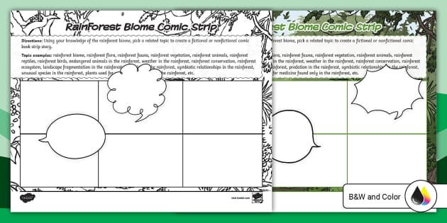 Rainforest Biome Comic Strip Activity for 6th-8th Grade